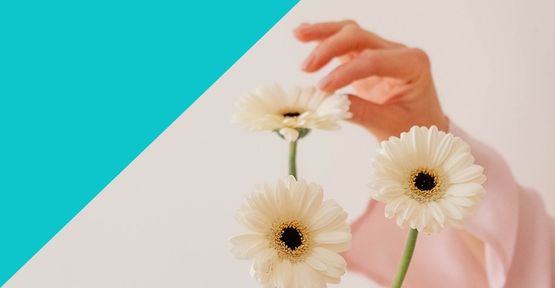 Eine Frauenhand berührt sanft die Blütenblätter einer weiß-rosa Gerbera, zwei weitere Gerbera stehen im Vordergrund, links oben ein blaues Dreieck für ein Audio mit 45-65 Min. Länge